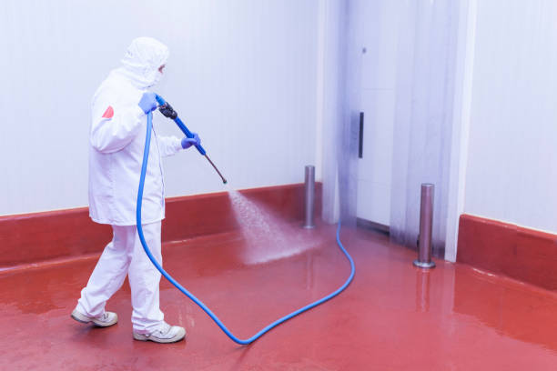 Best Playground Equipment Cleaning  in Blair, WI